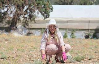 Askeri antropologdan ’Toprağınızı yabancılara...