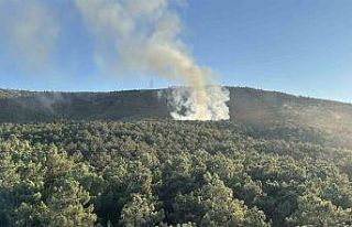 Ataşehir’de orman yangını, büyümeden söndürüldü