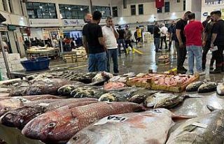 Av sezonu başladı, İzmir Balık Hali bereketle...