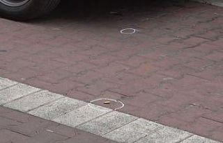 Avcılar’da iki yıl önce zıpkınla vurduğu abisini...