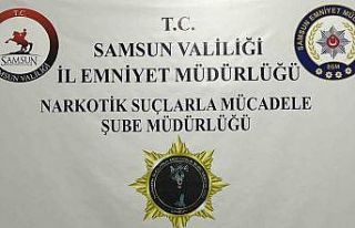 Bafra’da 33 kök Hint keneviri ele geçirildi