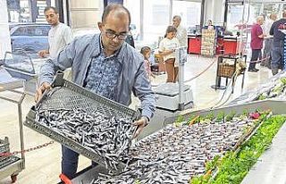 Balık tezgahları şenlendi