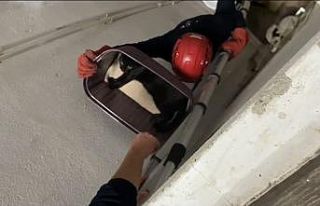 Balıkesir’de apartman boşluğuna düşen kedi...
