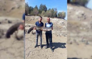 Baraj gölünde dev yayın balığı yakaladılar