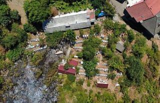 Bartın yangınında soğutma çalışmaları tamamlandı