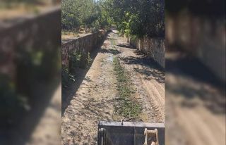 Bayırköy Belediyesi’nden kanal temizliği