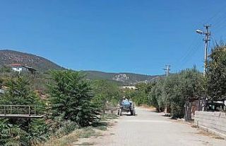 Bayırköy’de yabani otlar temizlendi