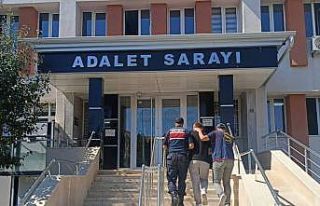 Bilecik’te nitelikli dolandırıcılık operasyonu