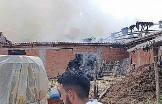 Bilecik’te samanlık alanda yangın çıktı