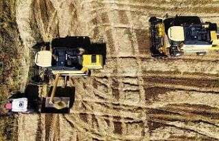 Bin dönümde yaklaşık 6 milyon lira maliyeti bulan...