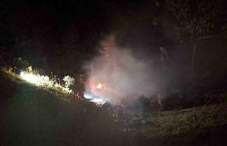 Bingöl’de çıkan yangın söndürüldü