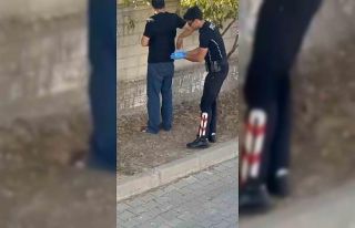 Bingöl’de uyuşturucu madde ele geçirildi: 1 tutuklama