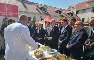 "Bir Anadolu Şenliği" Tunceli’de başladı