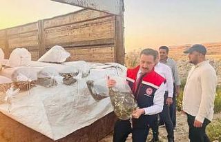 Bitlis’te Aygır ve Nazik göllerine 3 milyon 895...