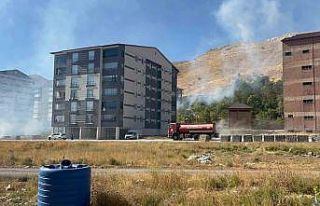 Bitlis’te çıkan yangın ağaçlara zarar verdi