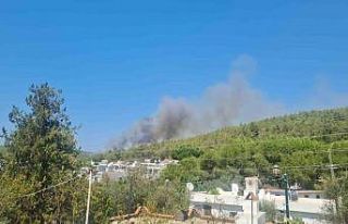 Bodrum’da orman yangını başladı