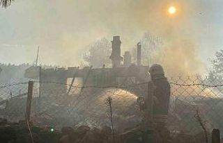 Bolu’da 12 yapıyı kül eden yangın kundaklama...