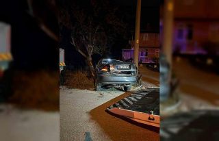 Bolu’da alkollü sürücü ağaca çarptı: 2 yaralı