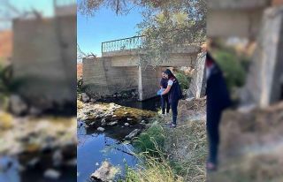 Bolu’da patates tarlaları için sulama sularından...