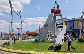 Budanan ot ve ağaç dalları mantar üretiminde kullanılıyor