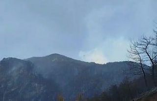 Buldan dağlarının yeşil örtüsü siyaha büründü