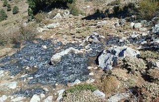 Burdur’da çalılık yangını söndürüldü