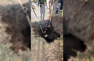 Burdur’da kuyuya düşen inek 2 saatlik çalışmayla...