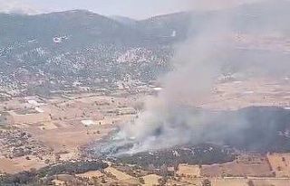 Burdur’da tarlada çıkan yangın ormanlık alana...