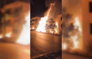 Bursa’da alev alan ağaçlar villaları böyle tehdit...