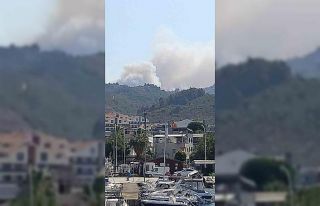 Bursa’da orman yangını