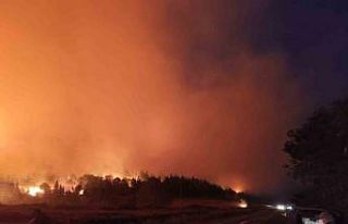 Bursa’da orman yangını...Rüzgarın etkisiyle...