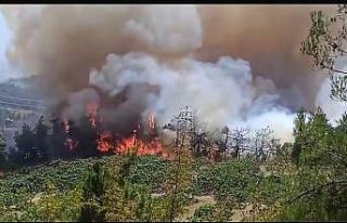 Bursa’daki orman yangını büyüyor