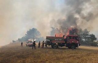 Bursa’daki orman yangını kontrol altına alındı