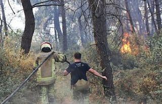 Büyükşehir’den Gündoğdu yangını seferberliği