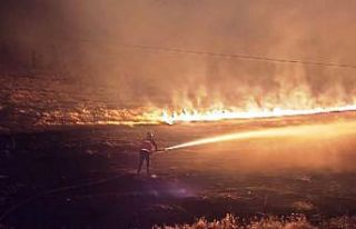 Çaldıran’da anız yangını