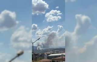 Çanakkale’de orman yangını: 2 okul tahliye edildi