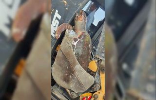 Çanakkale’de sahile ölü caretta caretta vurdu