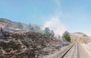 Çankırı’da çıkan ot yangını büyümeden söndürüldü