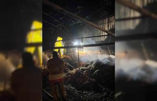 Çiftlikte çıkan yangında saman balyaları alevlere...