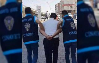 Cinayet zanlıları tutuklandı