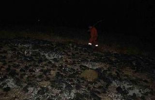 Çorum’da arazi yangının ormana sıçramasını...