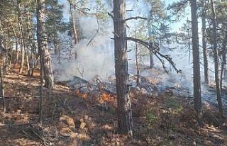 Demirci’de orman yangınına havadan müdahale