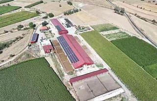 Denizli tarımı desteklerle güçleniyor