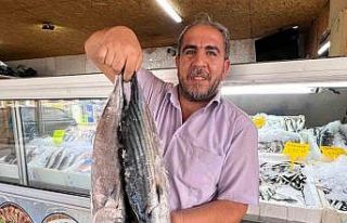 Deprem sonrası Kahramanmaraş’tan 54 ülkeye balık...