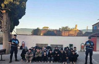 Didim’de 23 düzensiz göçmen yakalandı