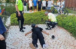 Direksiyon hakimiyetini kaybedip aydınlatma direğini...