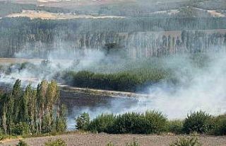 Diyarbakır’da Hevsel Bahçelerindeki mısır tarlasında...