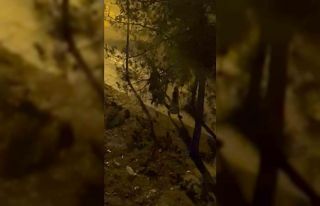 Diyarbakır’da husumetlilerin kavgasında kan aktı,...