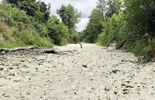 Doğaseverlerin kuruyan gözdesi suya tekrar kavuştu