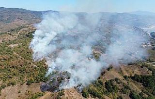 Düzce’de orman yangını